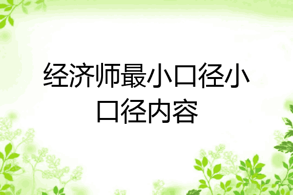 经济师最小口径小口径内容