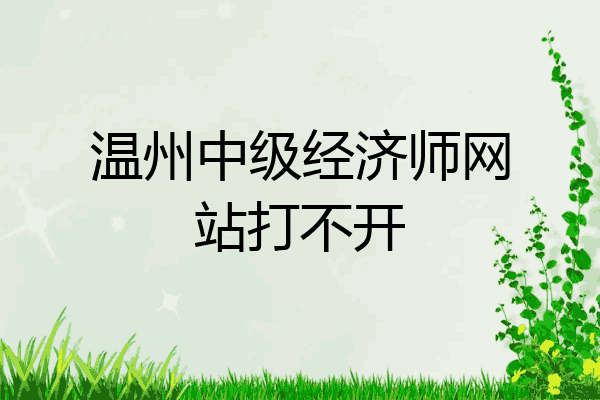 温州中级经济师网站打不开