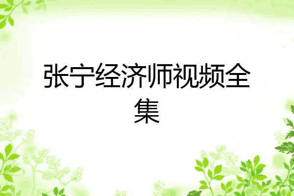 张宁经济师视频全集