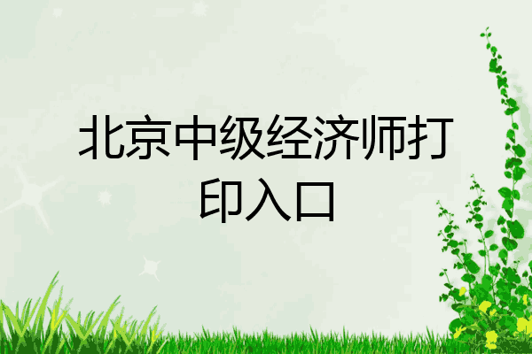 北京中级经济师打印入口