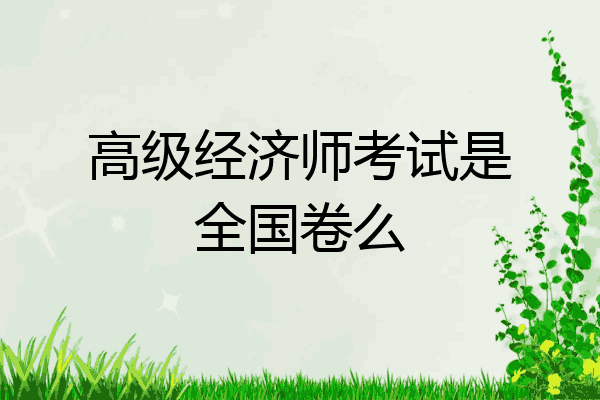 高级经济师考试是全国卷么