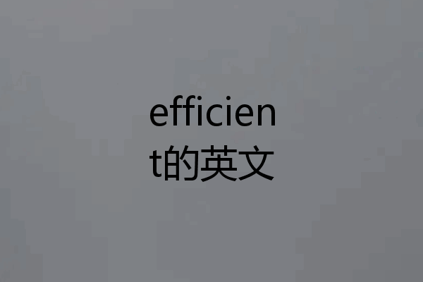 efficient的英文