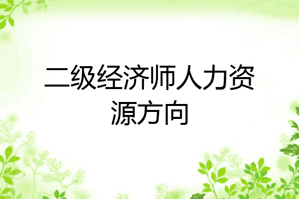 二级经济师人力资源方向
