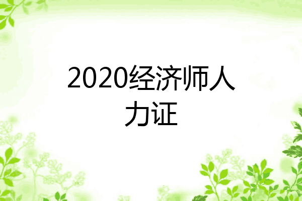 2020经济师人力证