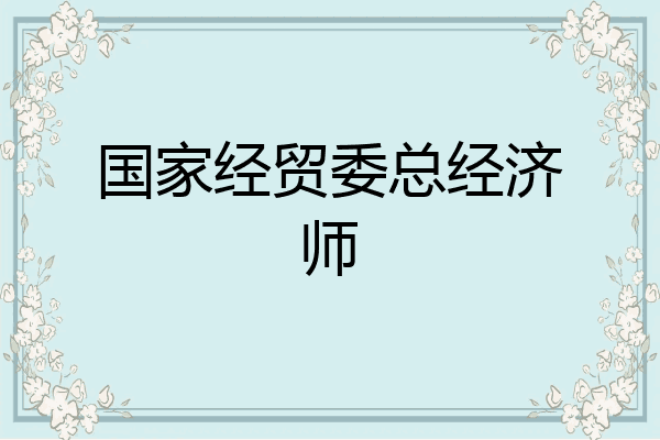 国家经贸委总经济师
