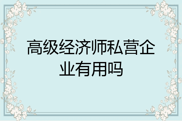 高级经济师私营企业有用吗
