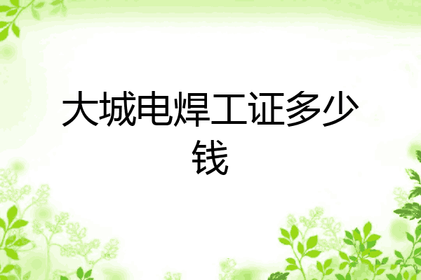 大城电焊工证多少钱