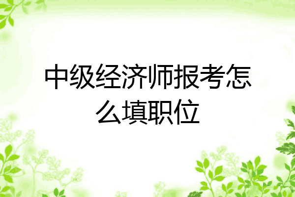 中级经济师报考怎么填职位