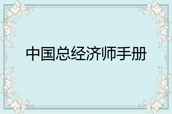 中国总经济师手册