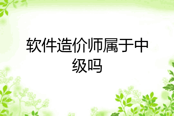 软件造价师属于中级吗