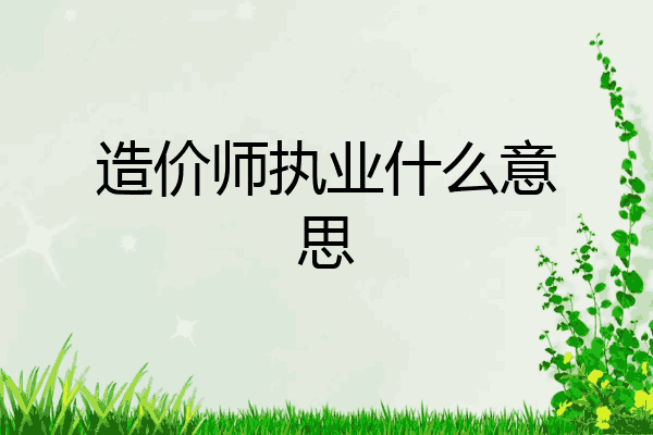造价师执业什么意思