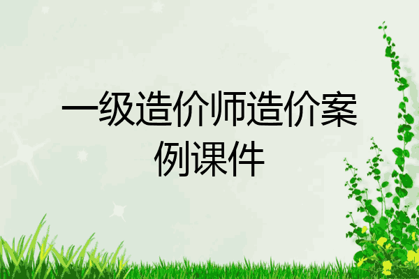 一级造价师造价案例课件