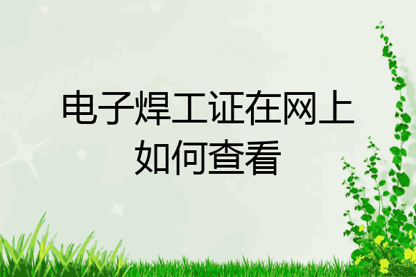 电子焊工证在网上如何查看