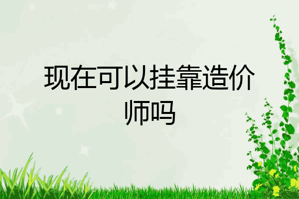 现在可以挂靠造价师吗