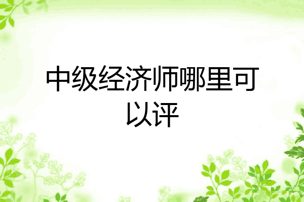 中级经济师哪里可以评