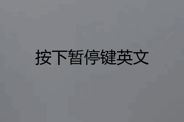 按下暂停键英文