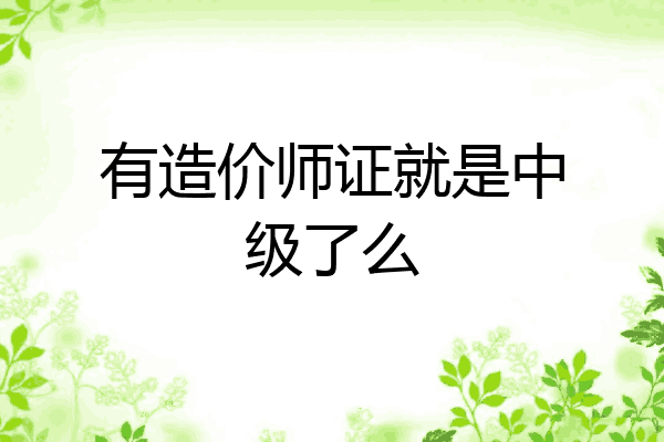 有造价师证就是中级了么