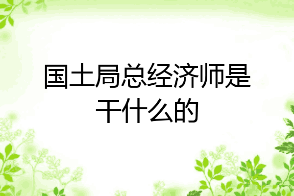 国土局总经济师是干什么的