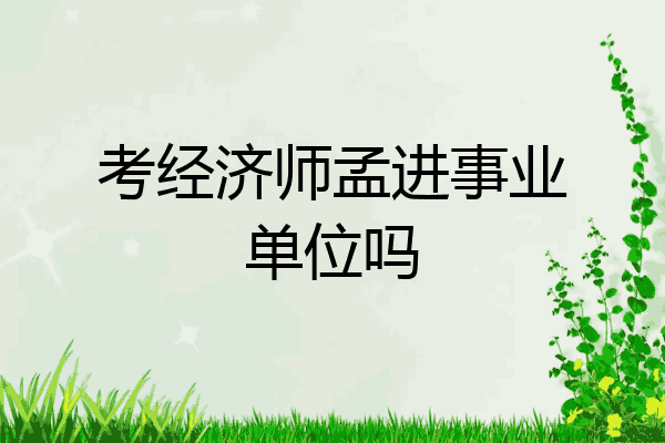 考经济师孟进事业单位吗