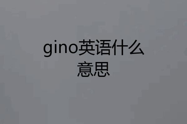 gino英语什么意思