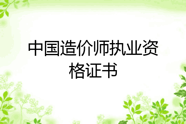 中国造价师执业资格证书