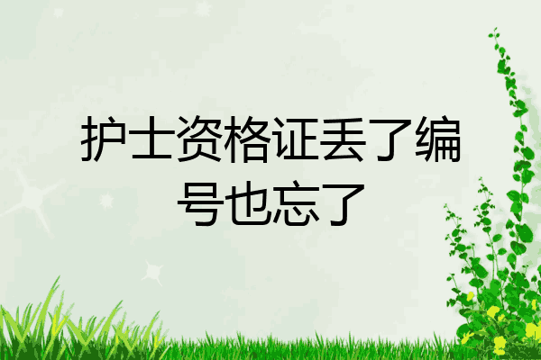 护士资格证丢了编号也忘了