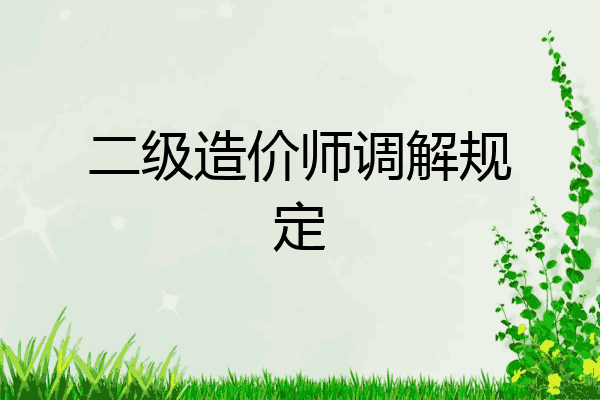 二级造价师调解规定