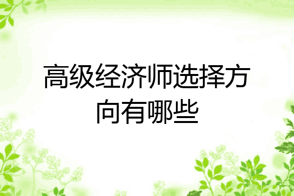 高级经济师选择方向有哪些
