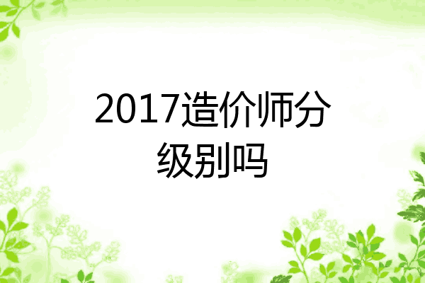 2017造价师分级别吗