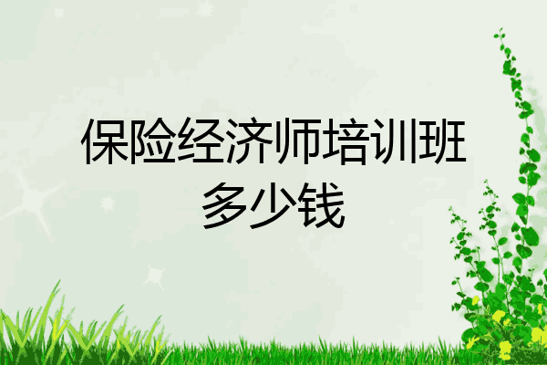 保险经济师培训班多少钱