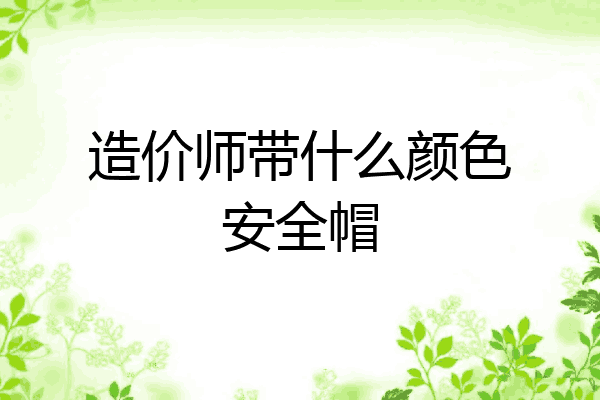 造价师带什么颜色安全帽