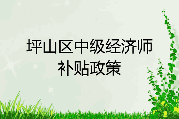 坪山区中级经济师补贴政策