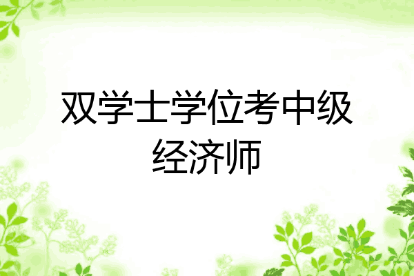 双学士学位考中级经济师