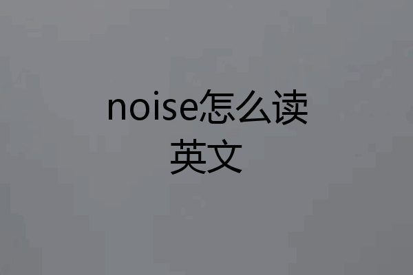 noise怎么读英文