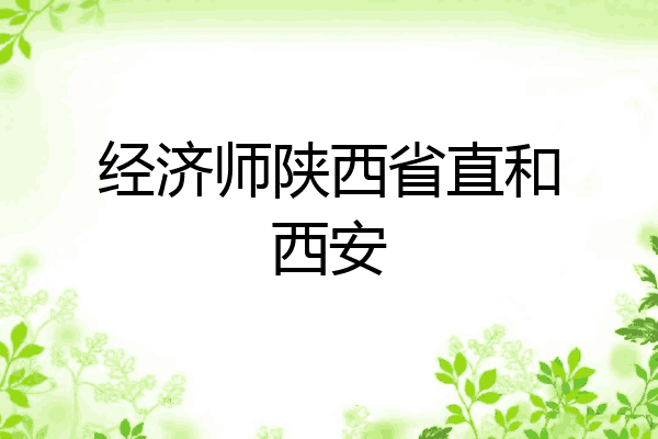 经济师陕西省直和西安