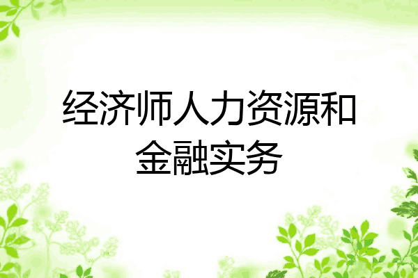 经济师人力资源和金融实务