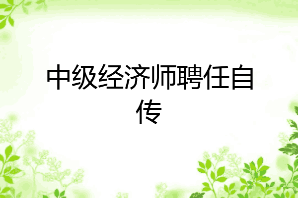 中级经济师聘任自传