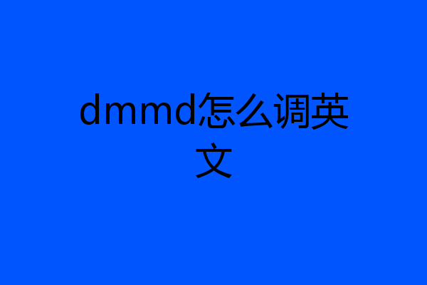 dmmd怎么调英文