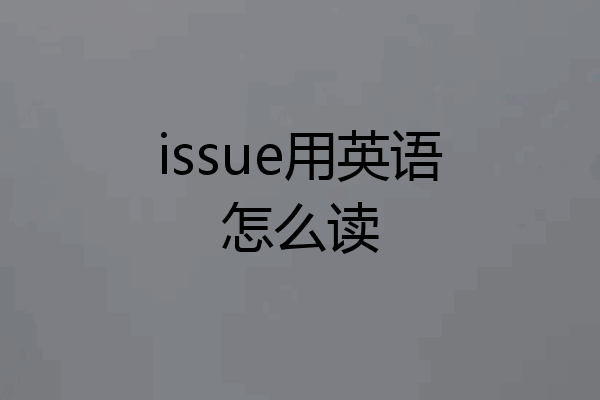 issue用英语怎么读