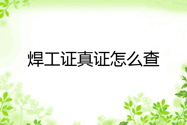 焊工证真证怎么查