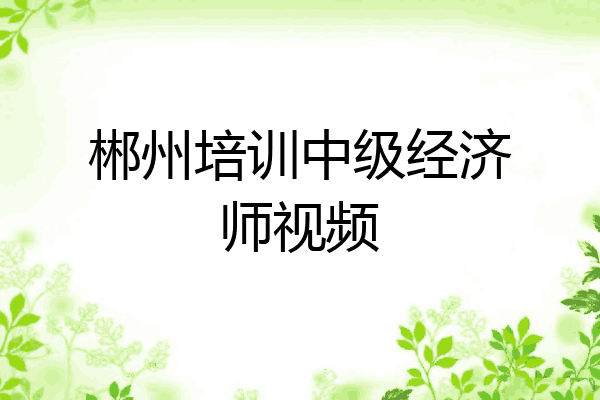 郴州培训中级经济师视频