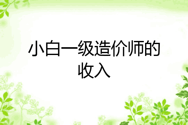 小白一级造价师的收入