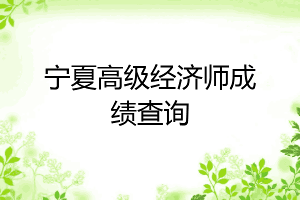 宁夏高级经济师成绩查询