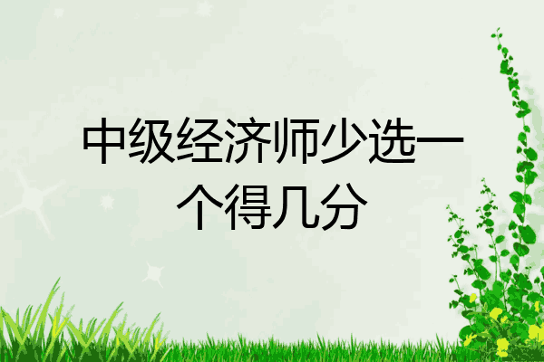 中级经济师少选一个得几分