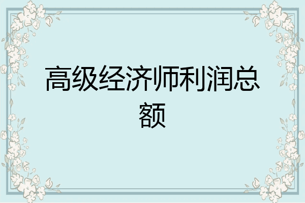 高级经济师利润总额