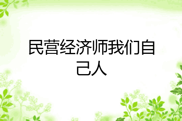 民营经济师我们自己人
