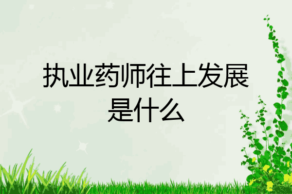 执业药师往上发展是什么