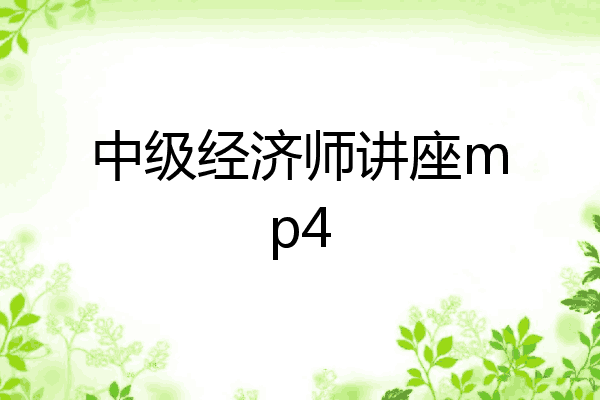 中级经济师讲座mp4