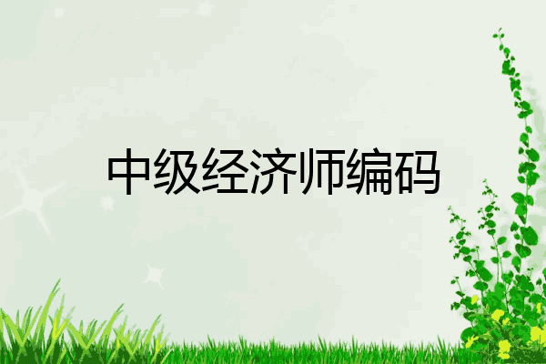 中级经济师编码