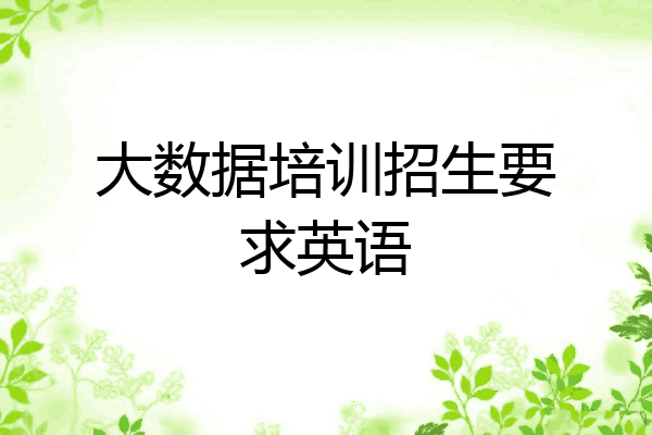 大数据培训招生要求英语